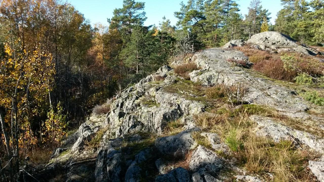Bed&Breakfast In Nature 12 Min From City Free Bikes Stockholm Exteriör bild