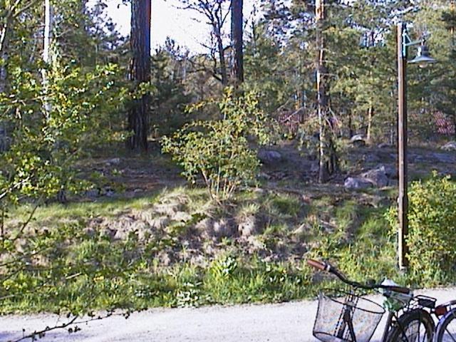 Bed&Breakfast In Nature 12 Min From City Free Bikes Stockholm Exteriör bild